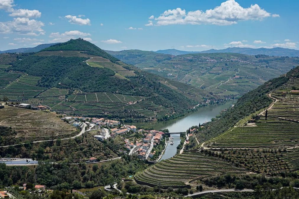 Solo to Porto: The Portuguese City That Ruined Lisbon for Me